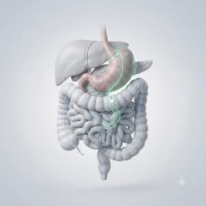 Gastro Surgery